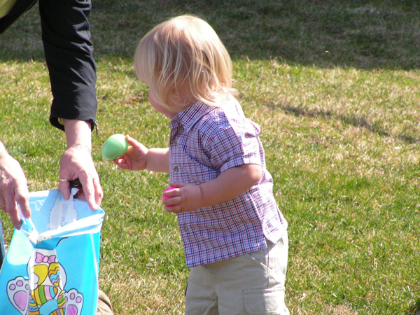 child finds egg